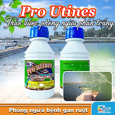Chế phẩm thảo dược Pro Utines – Giảm nguy cơ phân trắng cho tôm cá