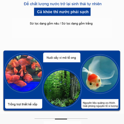 Sứ Lọc Hồ Cá 5.5/6KG vật liệu lọc nước bể cá cảnh, hồ thủy sinh cao cấp 