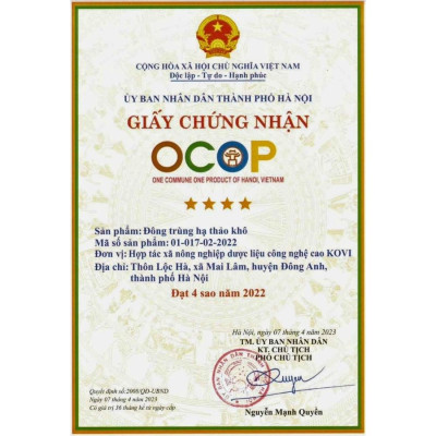 Đông trùng hạ thảo KOVI khô sấy thăng hoa 15g | Hàm lượng dược chất cao 4 sao OCOP