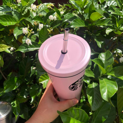 Cốc giữ nhiệt 750ml nhiều mầu lõi INOX 304 kèm ống hút