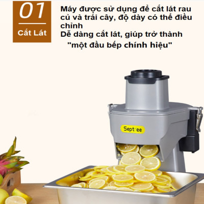 Máy thái rau củ quả đa năng, thái lát, thái sợi, thái hạt lựu. Thương hiệu Mỹ cao cấp Septree GJ807K. Hàng chính hãng