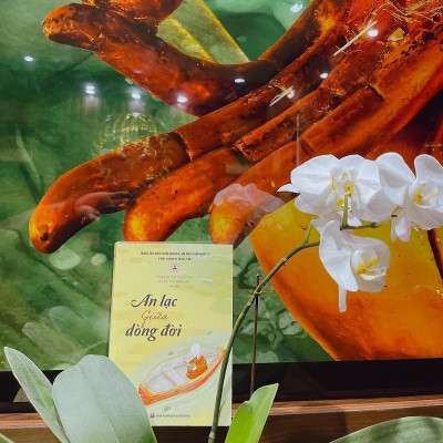 Sách - An Lạc Giữa Dòng Đời - Vĩnh Nghiêm Book