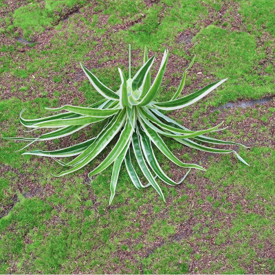 Cụm tóc tiên giả - Dài 20cm - Cây giả, hoa lụa trang trí nhà cửa