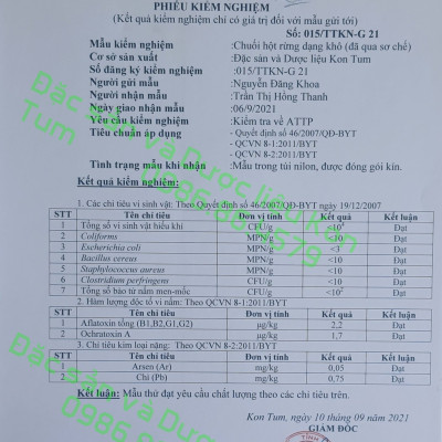 Đặc Sản Kon Tum - (Được Xem Hàng) 1Kg Chuối Hột Rừng Loại 1 (Loại Mật Chín Cây, Rất Thơm Và Ngọt) Đóng Gói Hút Chân Không - OCOP 3 Sao