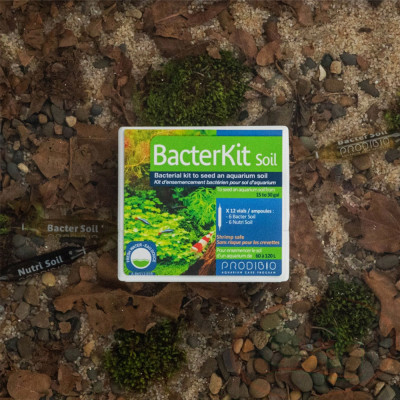 Vi sinh dưỡng nền Prodibio BacterKit Soil khởi tạo setup bể thủy sinh cá tép cảnh