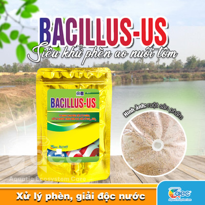 Bacillus Us – Chế phẩm vi sinh hỗ trợ giảm phèn, cải thiện môi trường ao nuôi tôm
