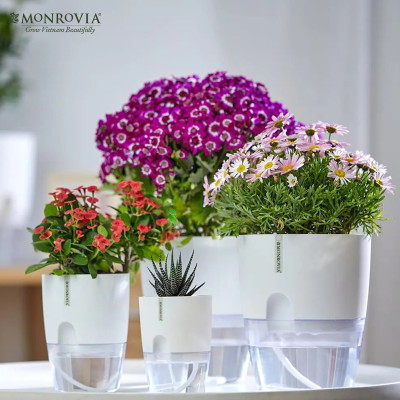 Chậu trồng cây tự tưới thông minh Monrovia, để bàn, trang trí trong nhà, bàn làm việc, sang trọng, Tiêu Chuẩn Châu Âu