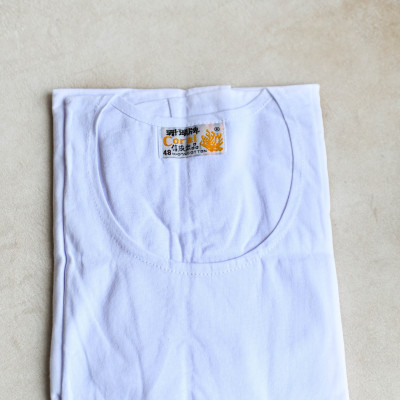 Áo đông xuân có tay/không tay San Hô nam