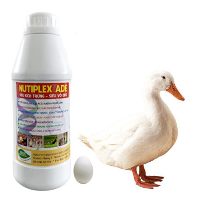 Siêu Kích Trứng cho gà, vịt, cút đẻ NUTIPLEX ADE. Kéo dài chu kỳ đẻ. Trứng đẹp, vỏ dầy, tăng phôi, tăng tỷ lệ ấp nở
