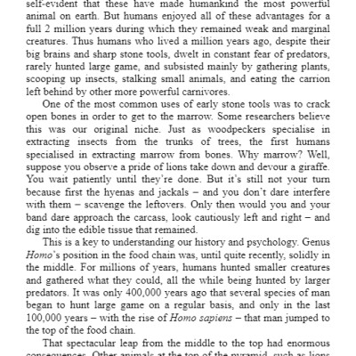 Sapiens : A Brief History of Humankind (Paperback)