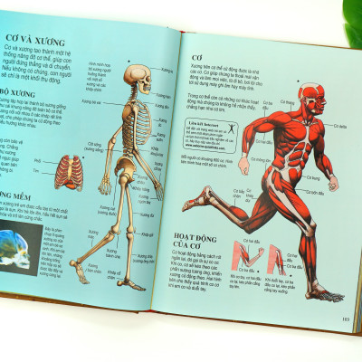 Sách Thiếu Nhi – Bách Khoa Tri Thức Dành Cho Trẻ Em – Đinh Tị