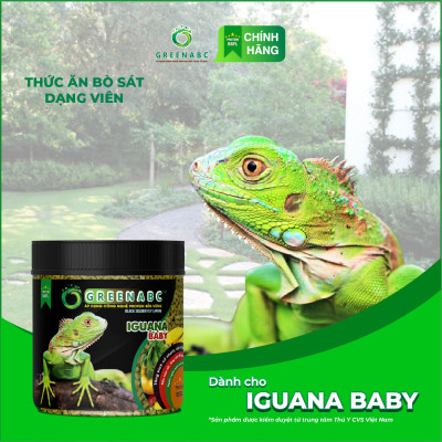 Thức ăn bò sát IGUANA Baby dạng VIÊN - Rồng Nam Mỹ Baby từ 5x đến 9x - Phát triển toàn diện cơ thể - Hộp 360g