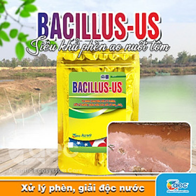Bacillus Us – Chế phẩm vi sinh hỗ trợ giảm phèn, cải thiện môi trường ao nuôi tôm