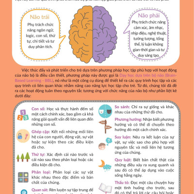 Tăng Cường Não Bộ Để Đạt IQ Vượt Trội - Những Bài Thực Hành Rèn Luyện Tư Duy Phân Tích