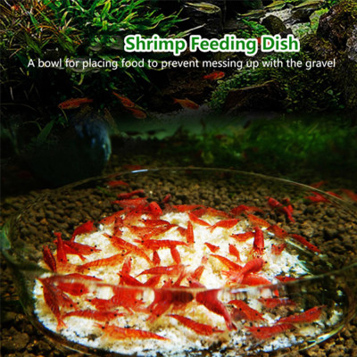 Chén thủy tinh cho tép ăn hạn chế thức ăn dư thừa bể cá tép thủy sinh