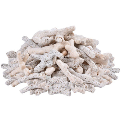 6KG San Hô Vụn vật liệu lọc hồ cá, trang trí bể cá, hồ thủy sinh cao cấp 