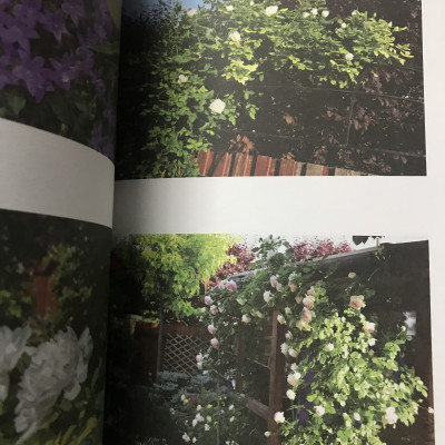 Yêu và Say (thơ - tản văn)