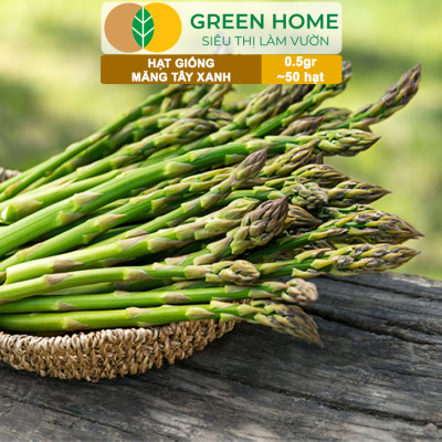 Hạt Giống Măng Tây Xanh Greenhome, Gói 0.5g~50 hạt, Dễ Trồng Quanh Năm, Nảy Mầm Cao, Thu Hoạch Nhanh, Năng Suất Cao T19