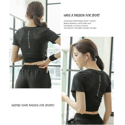 (HÀNG XỊN) Áo thể thao_thun lạnh phối lưới siêu mịn mát_Áo phông nữ tập gym, chạy bộ, du lịch 