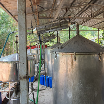 Tinh dầu Chanh tươi (Chanh Thái) 10ml Mộc Mây - tinh dầu thiên nhiên nguyên chất 100% - chất lượng và mùi hương vượt trội - Có kiểm định