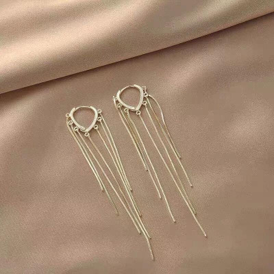 Earrings nữ đeo tai cao cấp sang chảnh thời trang Hàn Quốc