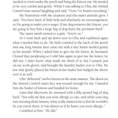 Chicken Soup For The Soul: The Dog Did What?: 101 Amazing Stories Of Magical Moments, Miracles And... Mayhem