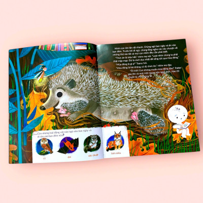 Sách cho bé - Tuli Tuli Kể Chuyện Nhà Ai Ở Đâu - Nhà Nhím Nơi Công Viên - Sách tranh cho bé