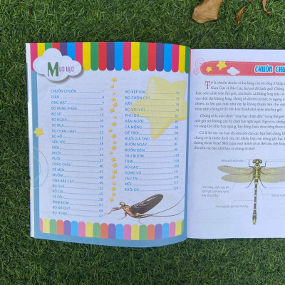 Sách: Bách Khoa Động Vật Dành Cho Trẻ Nhỏ - Côn Trùng - TSTN