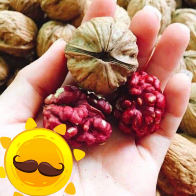 Hạt óc chó đỏ còn vỏ túi 500g Fonut