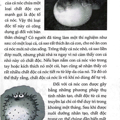 10 Vạn Câu Hỏi Vì Sao? - Động Vật (Tái Bản 2023)