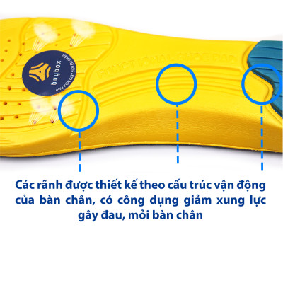 Bộ 3 mẫu lót giày thể thao, đêm êm bàn chân khi vận động, dùng để thay thế lót cũ - Buybox - BBPK26_BBPK128_BBPK155