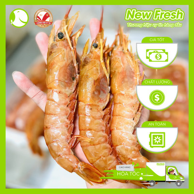 [GIAO NHANH HCM] Tôm Đỏ Atlantic Đại Tây Dương - Hộp 1Kg