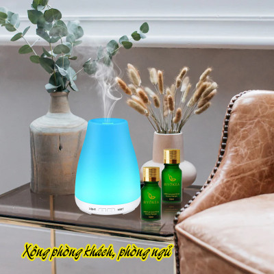 Tinh Dầu Hoa Hồng Biyokea (10ml)