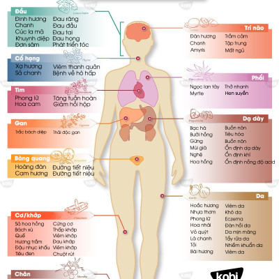Tinh Dầu Sả Chanh Đuổi Muỗi Kobi, Dùng Lau Sàn Nhà, Giúp Khử Mùi, Thơm Phòng (50ml) - 
