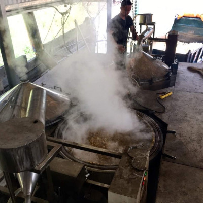 Tinh dầu Gỗ Thông nguyên chất từ thiên nhiên, xông phòng, khử mùi, thơm phòng, đuổi muỗi - KingOil