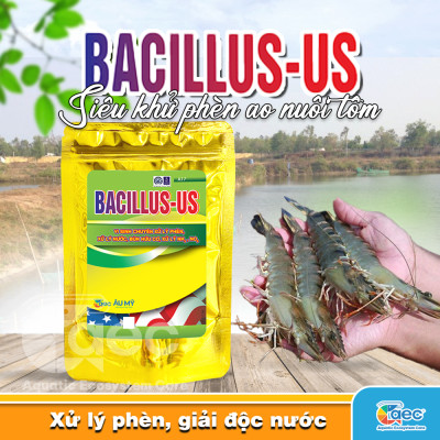 Bacillus Us – Chế phẩm vi sinh hỗ trợ giảm phèn, cải thiện môi trường ao nuôi tôm