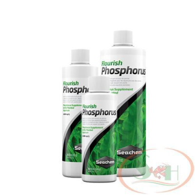 Phân nước Seachem Flourish Phosphorus 100ml, 250ml, 500ml bổ sung P+ phosphate po4 bể thủy sinh