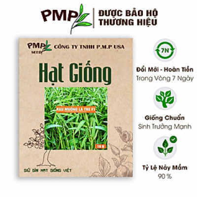 Hạt Giống Rau Muống Lá Tre PMP 10g
