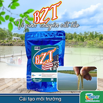 Vi sinh BZT – Chế phẩm vi sinh hỗ trợ kiểm soát tảo và cải thiện môi trường nước ao nuôi