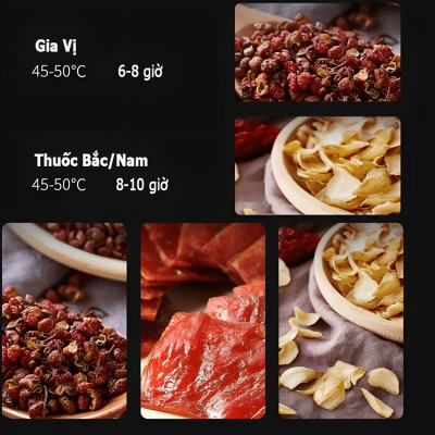 Máy sấy thực phẩm công nghiệp 210 lít, 22 khay Thương hiệu Mỹ cao cấp Septree DBC-22A - Bảo Hành 12 Tháng (Hàng Nhập Khẩu)