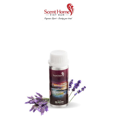 Tinh dầu Scent Homes - mùi hương (Lavender Classic)