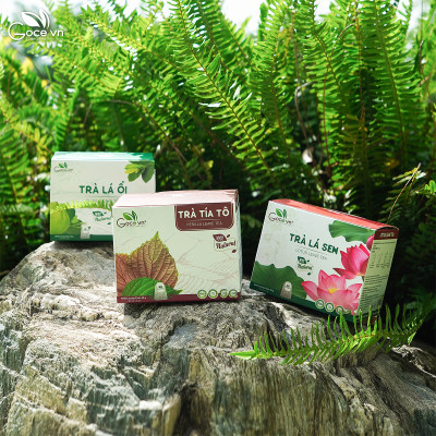 Combo Family Goce (1 hộp Trà lá ổi 40g, 1 hộp Trà tía tô 40g, 1 hộp Trà lá sen 40g)