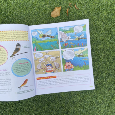 Sách- Bách Khoa Động Vật Dành Cho Trẻ Nhỏ - Côn Trùng