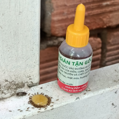 Chế phẩm diệt kiến sinh học, thuốc diệt kiến tận gốc SAMI SAMI hiệu quả 100%, an toàn cho sức khoẻ