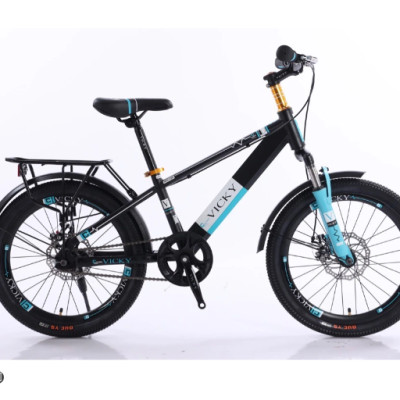 Xe đạp địa hình trẻ em cỡ bánh 20 Vicky VIC120 - Hàng chính hãng