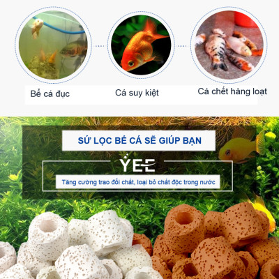 Sứ Lọc Hồ Cá 5.5/6KG vật liệu lọc nước bể cá cảnh, hồ thủy sinh cao cấp 