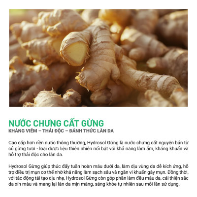 Gel Tẩy Da Chết Body Gừng Tràm Trà Heebee