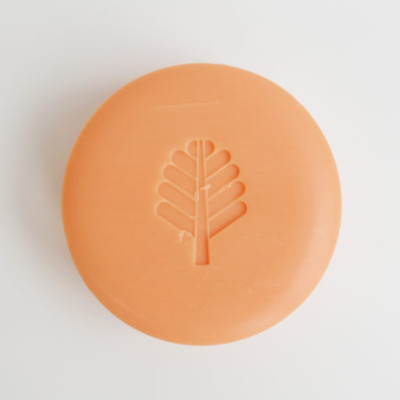 Xà phòng rửa tay dược liệu S-Pina 100g - Hương trái cây - Hàng Nội Địa Nhật Bản