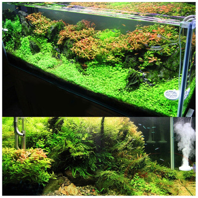 Máy ức chế Chihiros Doctor Mate, V4 ngừa rêu tảo. nấm khuẩn hại bể cá tép thủy sinh