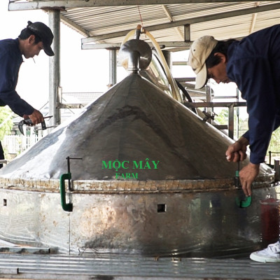 Tinh dầu Bưởi Chùm (bưởi Hồng, bưởi Úc) 50ml Mộc Mây - tinh dầu thiên nhiên nguyên chất 100% - chất lượng và mùi hương vượt trội